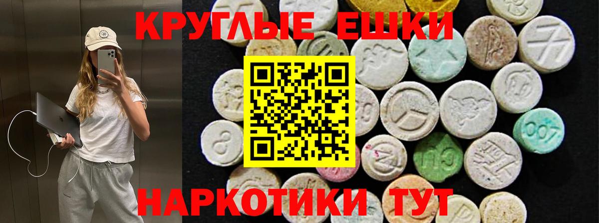 Урус-Мартан  Ecstasy бентли  Экстази Punisher  Экстази  Вход с VPN 