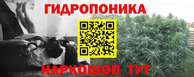 прущие грибы Малоярославец