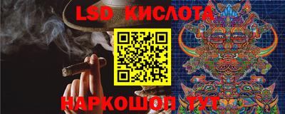 прущие грибы Малоярославец